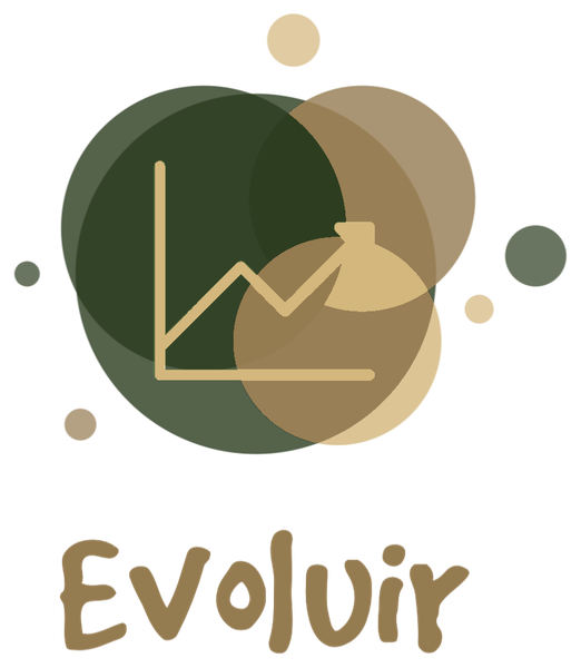 Logo oficial da Agência Evoluir Marketing Digital